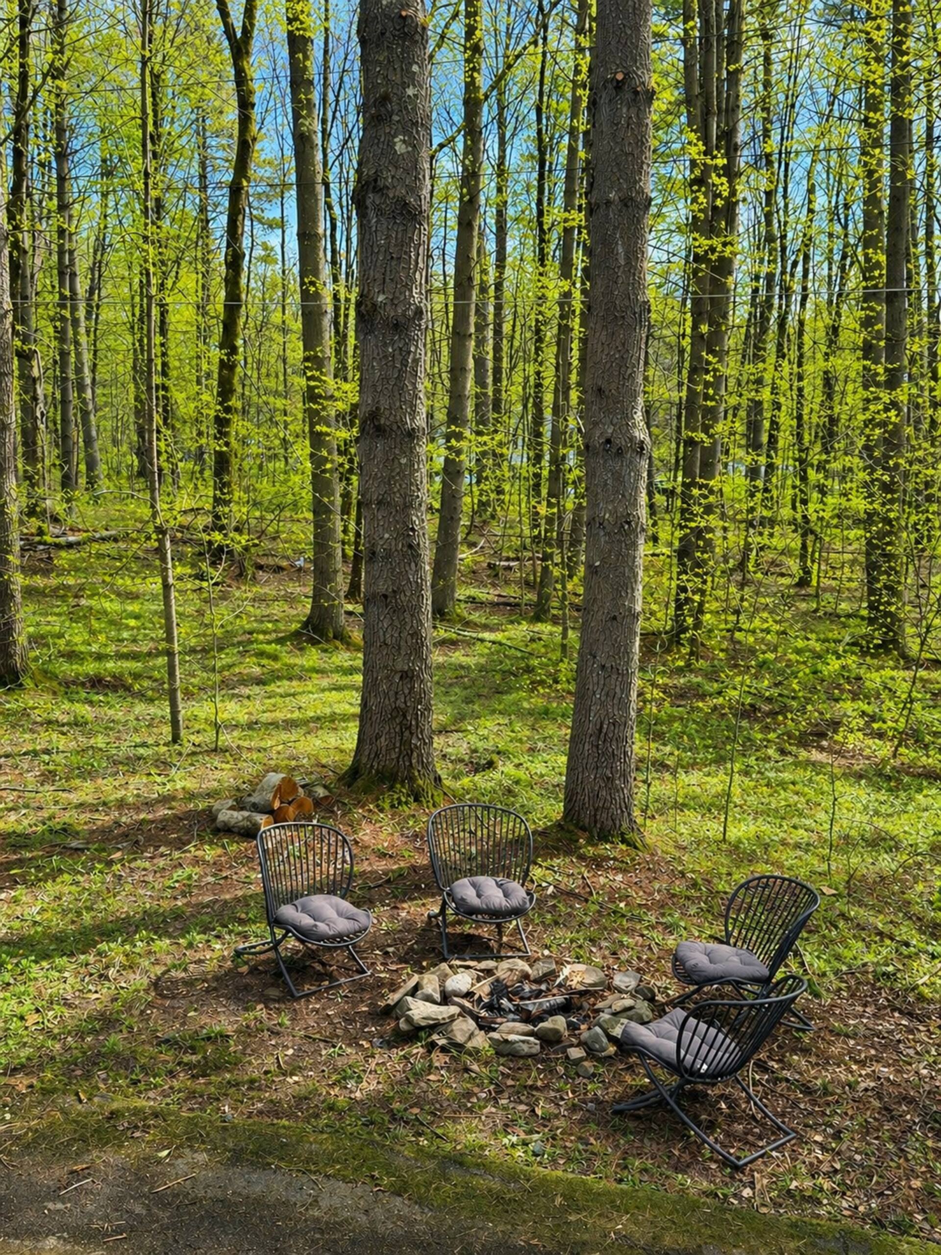 Fire pit ring in the woods