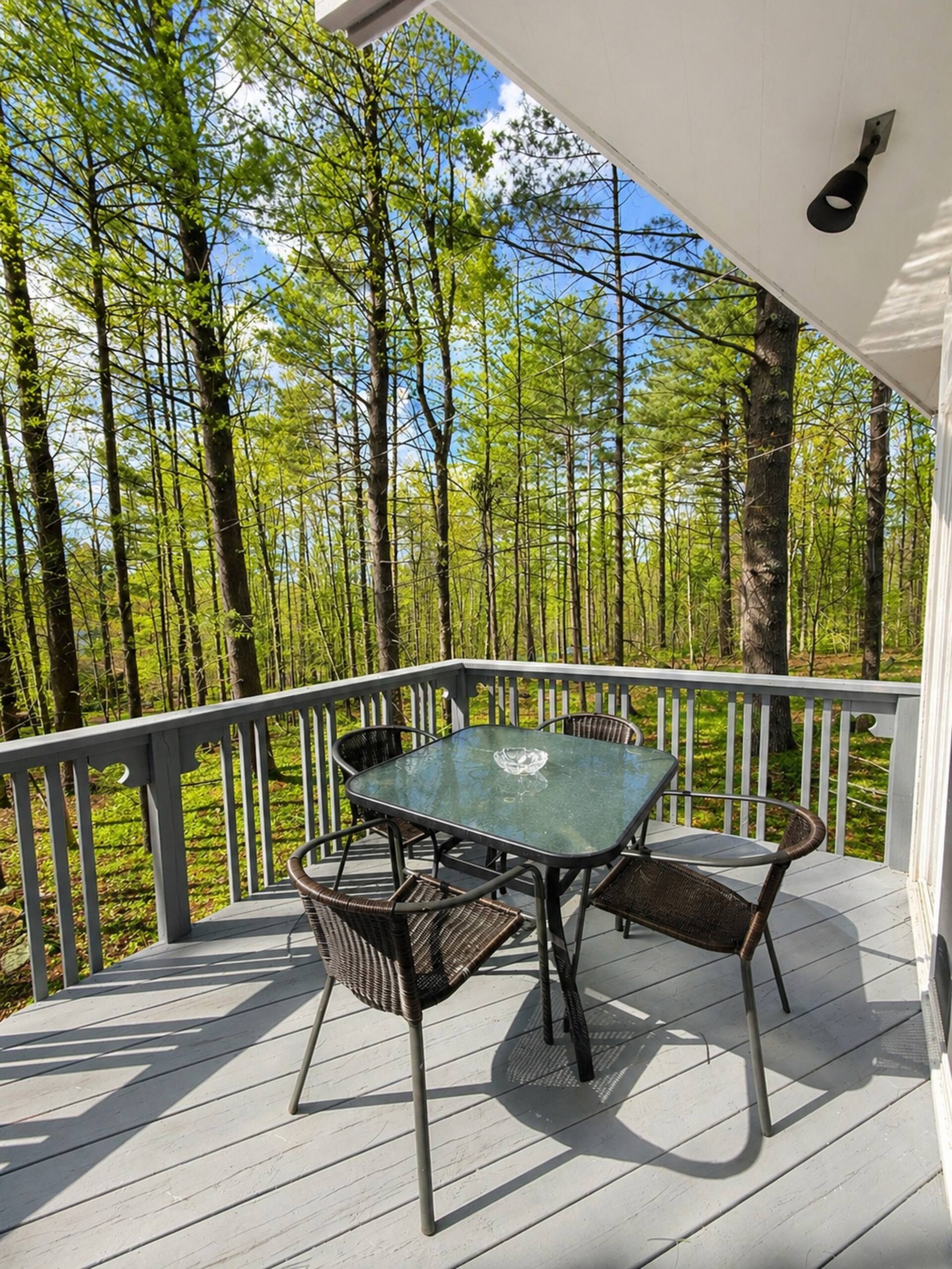 Deck dining set among the trees